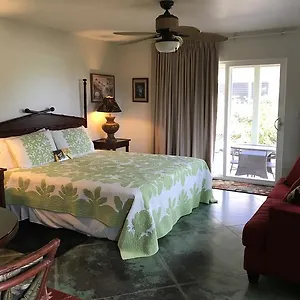  Villa Hale Pua - Seaside United States